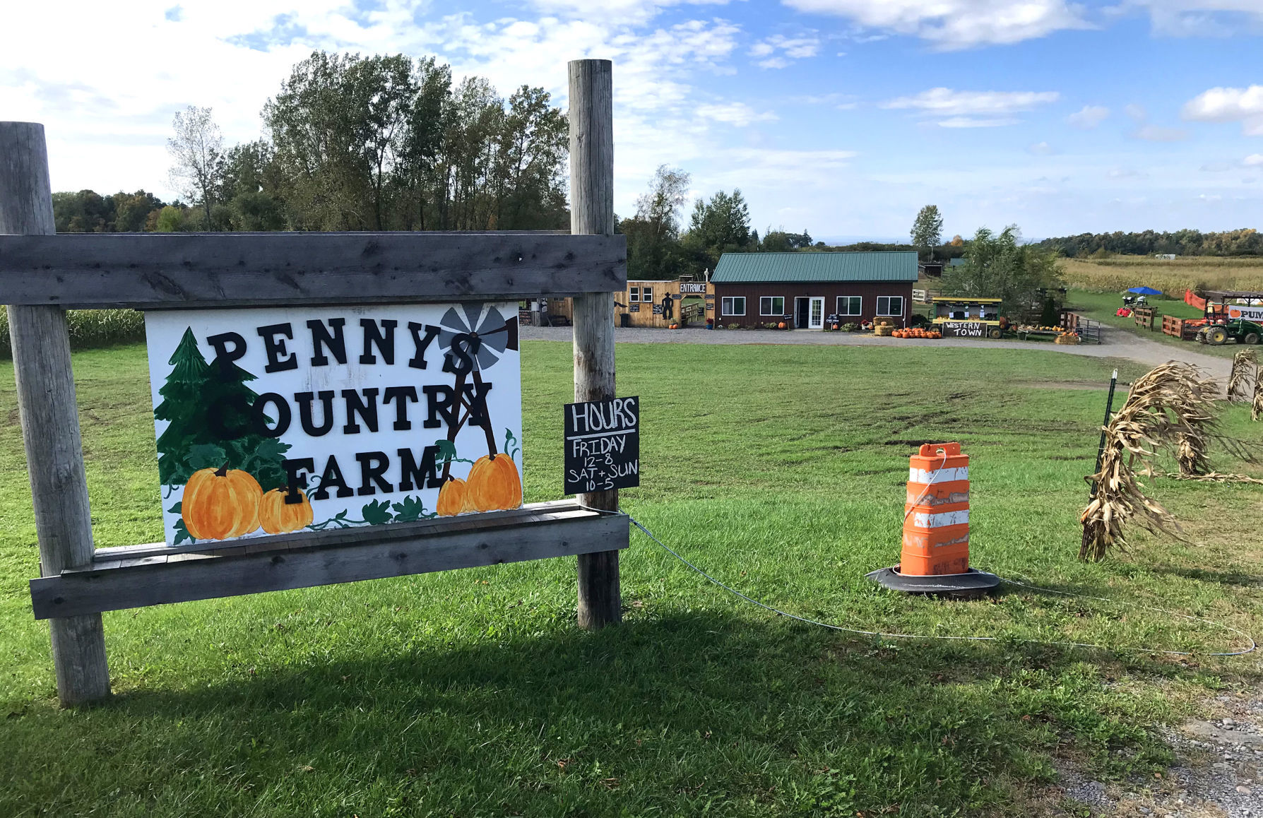 Penny's Country Farm 18